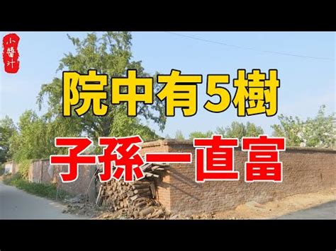 桃花結果風水|【桃花樹風水】桃花樹風水：古代風水禁忌與現代居家桃花指南